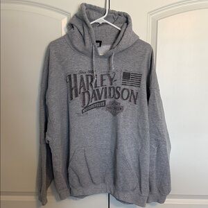 Harley-Davidson Men's Hoodie in Gray
